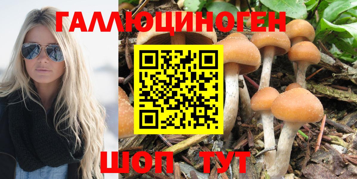 Псилоцибиновые грибы мухоморы Дюртюли