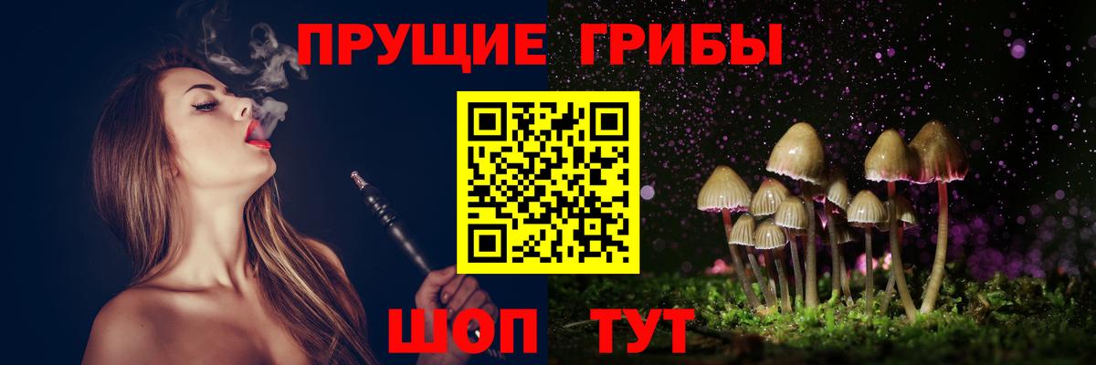 Дюртюли  где продают наркотики  Вход с VPN  Псилоцибиновые грибы прущие грибы 